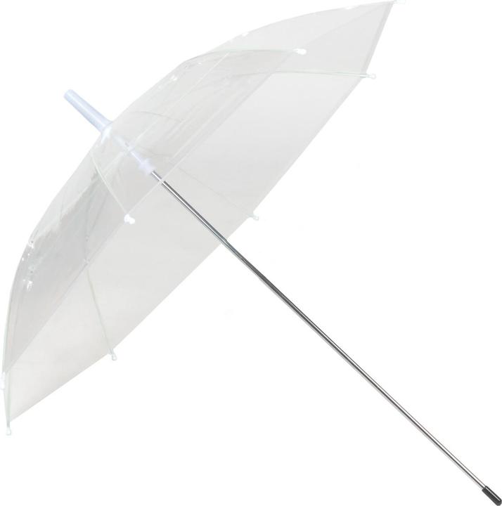 Strotz Pflanzenschutz-Schirm transparent 2 Stk.