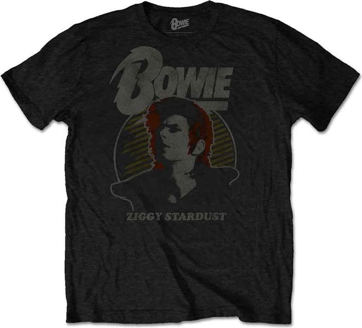 Produktbild David Bowie Vintage Ziggy (M)