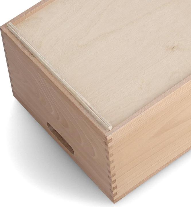 Actual product image Zeller Present All-purpose box (40 x 30 x 21 cm, 20 l)