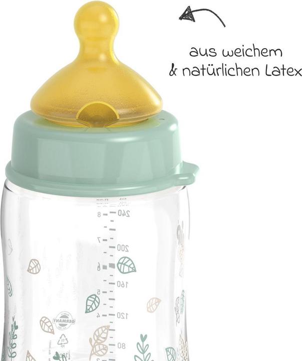Produktbild NIP Babyflaschen PP-Flasche Cherry Green 260 ml + Latex-Trinksauger (260 ml)