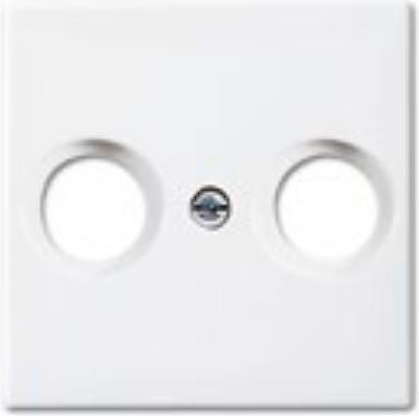 Produktbild Busch-Jaeger Zentralscheibe