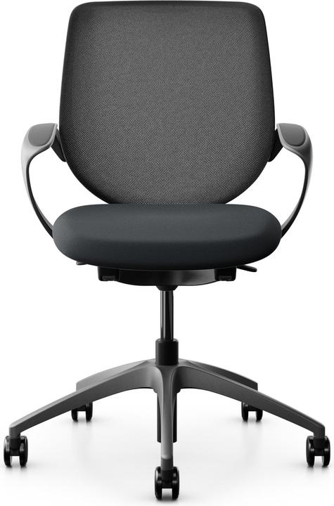 Giroflex Netzrücken mit Armlehnen 313
