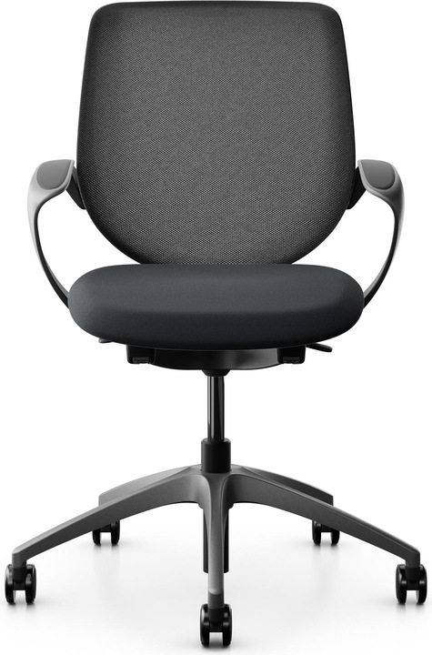 Actual product image Giroflex Netzrücken mit Armlehnen 313