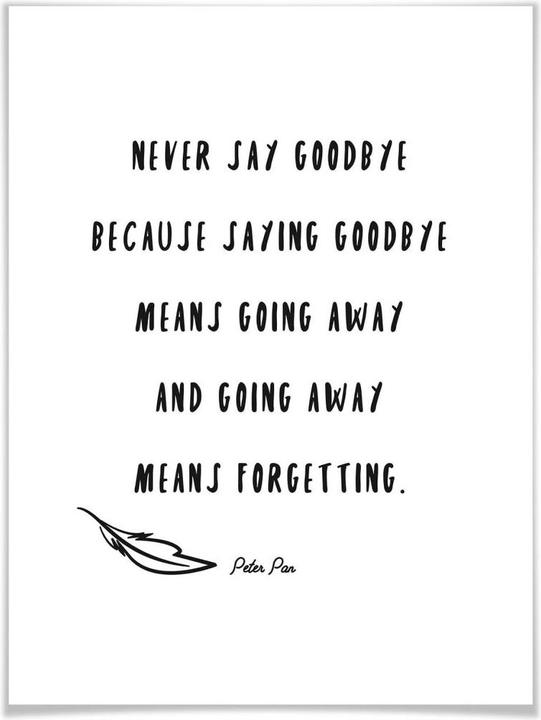 Image du produit Trenddeko Never say Goodbye (24 x 30 cm)