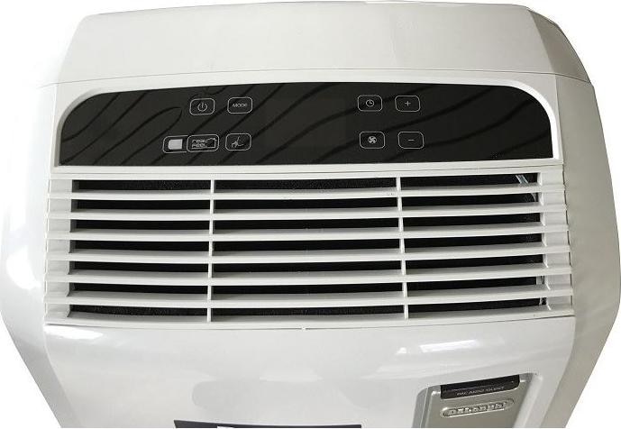 Actual product image De'Longhi PAC AN112 Silent Pinguino (11000 BTU/h)