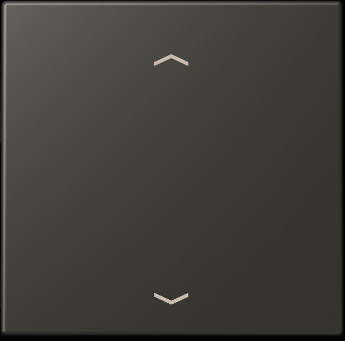 Produktbild JUNG Wippe 1fach m. Pfeilsymb.