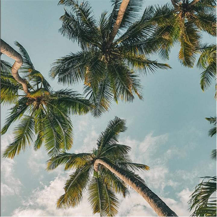 Image du produit Eicie Arven (200 x 140 cm)