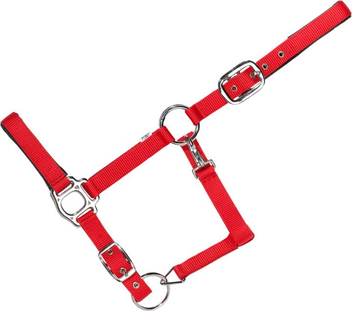 Image du produit Usg Everyday