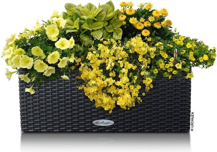 Actual product image Lechuza Balconera Cottage (19 cm)