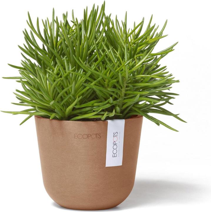 Immagine prodotto Ecopots Oslo Mini (11.50 cm)