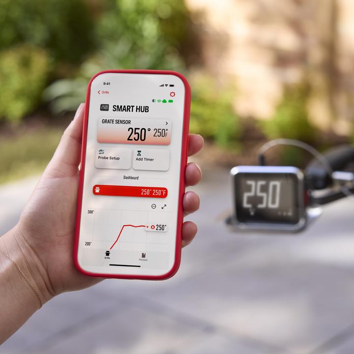 Actual product image Weber Wired 2 Probe Display