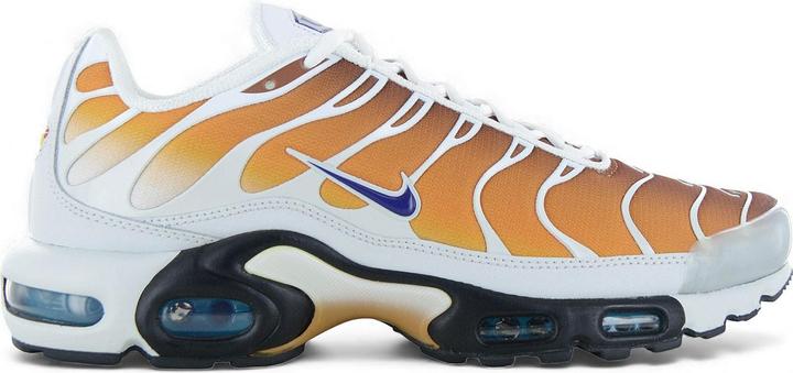 Image du produit Nike Air Max Plus One Block Down (43)