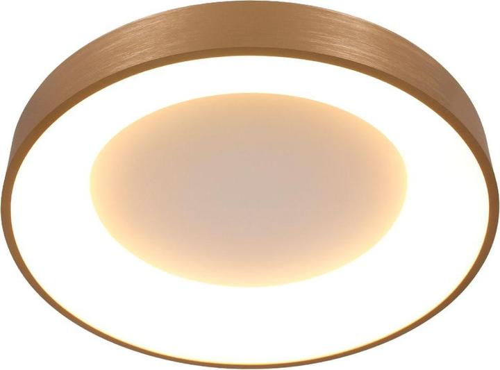 Image du produit Steinhauer Ringlede (28 lm)