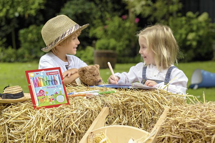 Immagine prodotto STABILO Penna Trio Jumbo con punta in feltro spessa (Multicolore, 12 x)