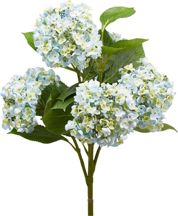 Actual product image Schubiger Hydrangea Light Blue H: 58 cm (58 cm)