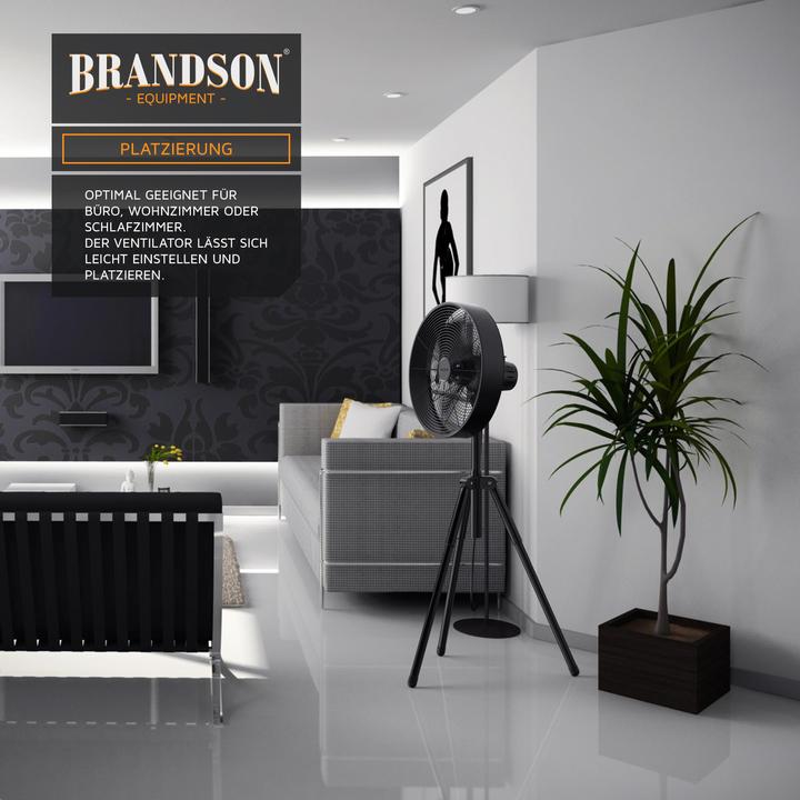 Actual product image Brandson Tripod (58 dB)