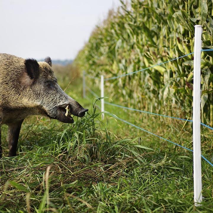 Produktbild Gallagher TurboLine (x2)