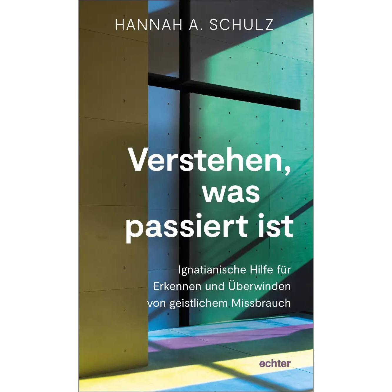 Verstehen, was passiert ist, Fachbücher von Hannah A. Schulz