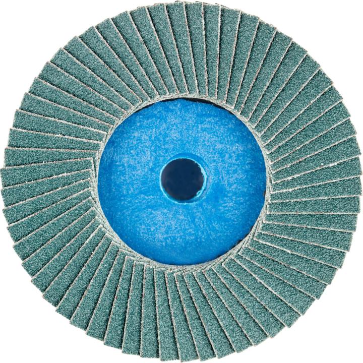 Actual product image Pferd flap disc (80)