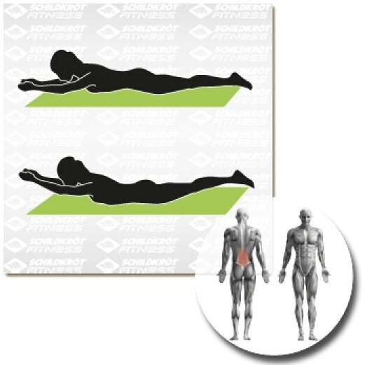 Actual product image Schildkröt Fitness mat (15 mm)