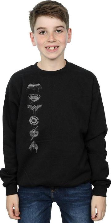 Produktbild Justice League Movie Sprayed Emblems Sweatshirt Jungen (140, 146)