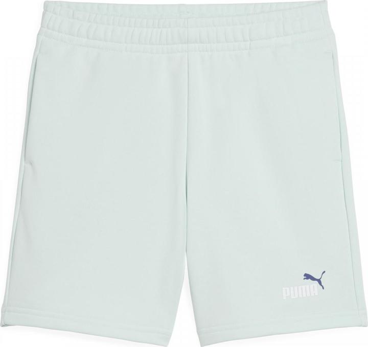 Actual product image Puma ESS 2 COLOR No. 1 Logo Shorts TR B (176)