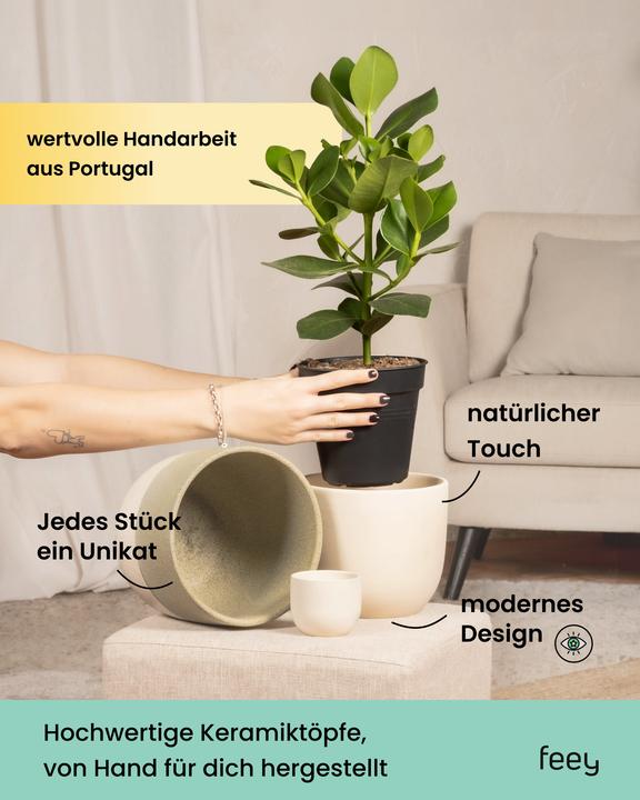 Produktbild feey Variado (23.50 x 23 cm)