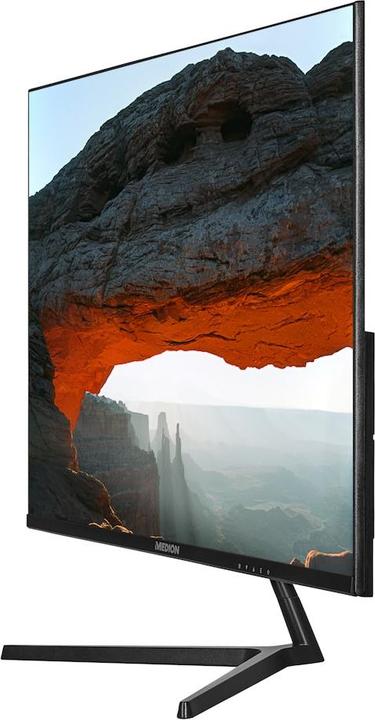 Actual product image Medion AKOYA® P52424 (MD 20152) Widescreen Monitor (1920 x 1080 pixels, 24")