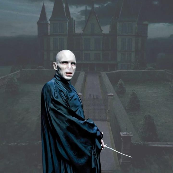 Actual product image Noble Collection Lord Voldemort magic wand