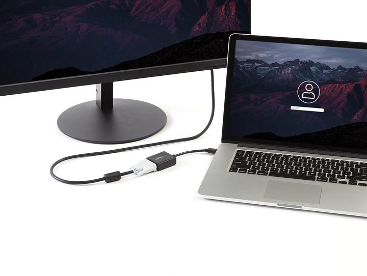 Actual product image StarTech Mini Displayport To Dvi (Mini DP, 18.50 cm)