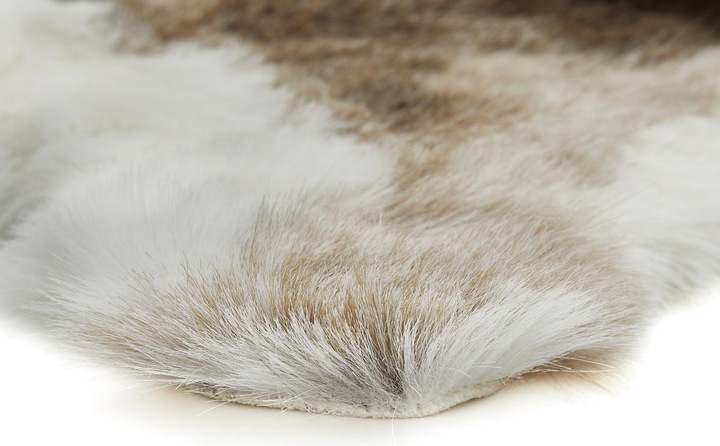 Actual product image Andiamo Rentier