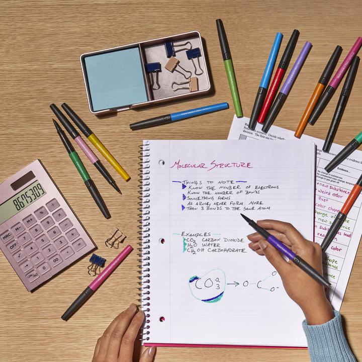 Produktbild Paper Mate Faserschreiber (12x)