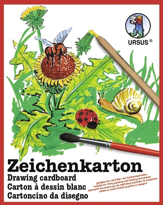 Ursus Drawing cardboard 200g/sqm A2 PU=10 sheets (200 g/m², 10 x)