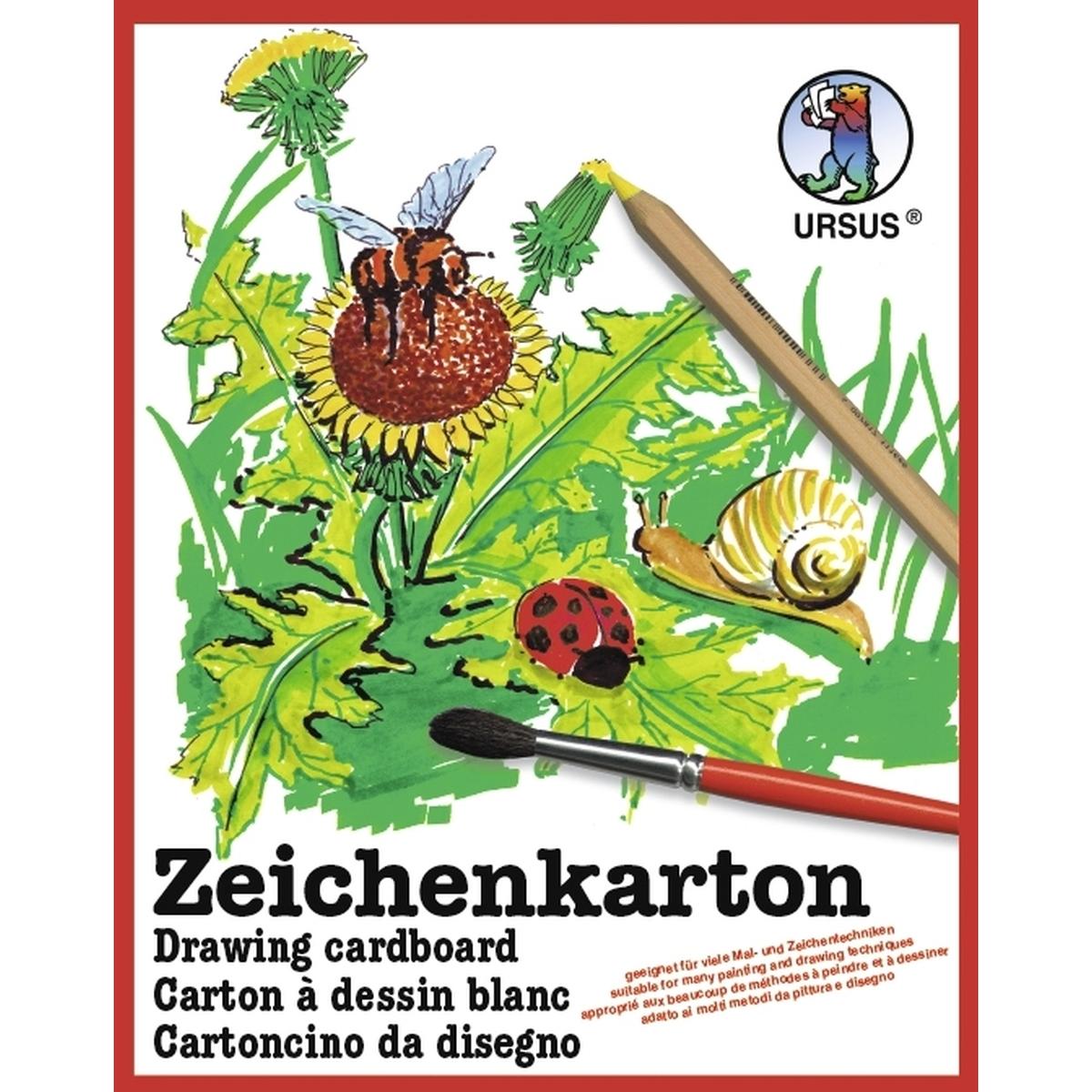 Ursus, Bastelpapier, Zeichenkarton 200g/qm A4 VE=250 Bogen (200 g/m², 1 x)