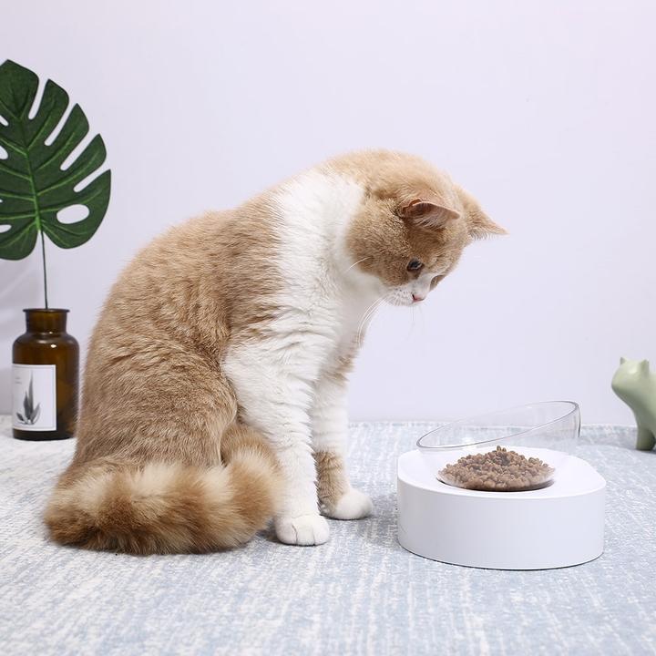 Actual product image Petkit Fresh Nano (0.24 l)