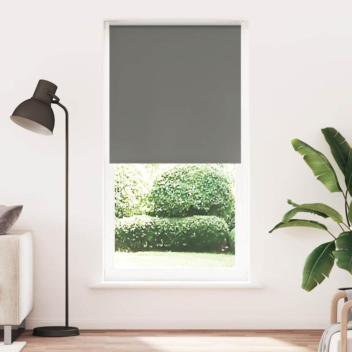 Actual product image vidaXL Verdunkelungsrollo (90 x 210 cm)