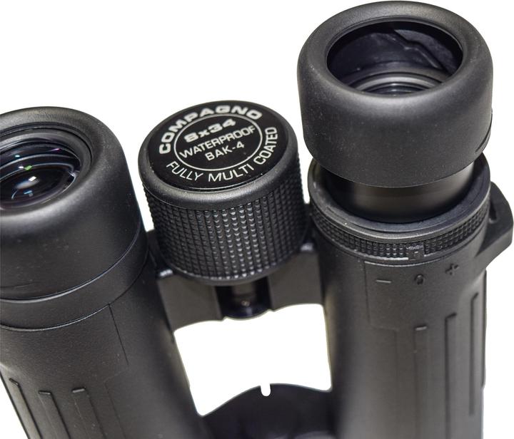 Immagine prodotto Braun Photo Marrone Compagno 8x34 WP (8 x, 34 mm)