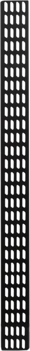 Actual product image DS-IT Vertical cable management strip