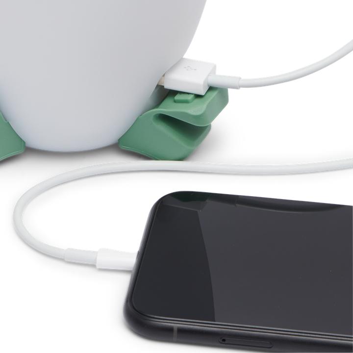 Actual product image Black Diamond Orbiter 450 Lantern (mint/white?)