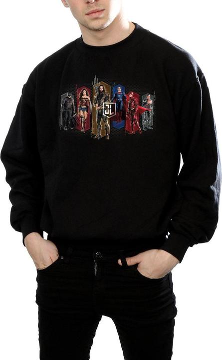 Actual product image Mens Justice League Movie Team Hexagons Sweatshirt (XXL)