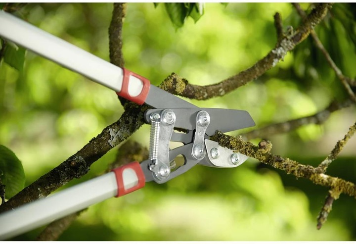 Image du produit Wolf-Garten Ciseaux à branches