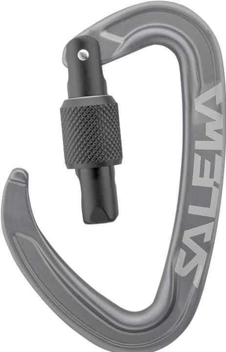 Immagine prodotto Salewa Ortles Screw Carabiner