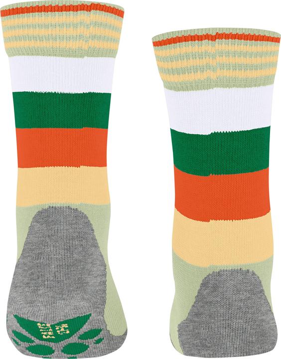 Actual product image Falke Active Fox Baumwollsocken (Single pack, 35 - 38)
