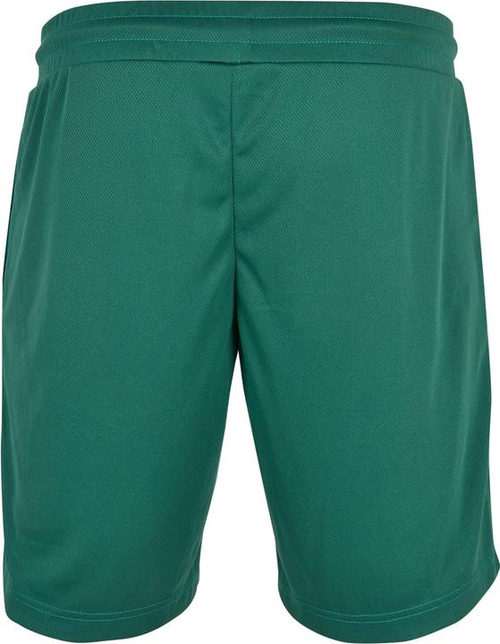 Image du produit Starter Team Mesh Shorts (S)