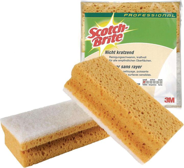 Scotch-Brite 3m (1 Stk.)