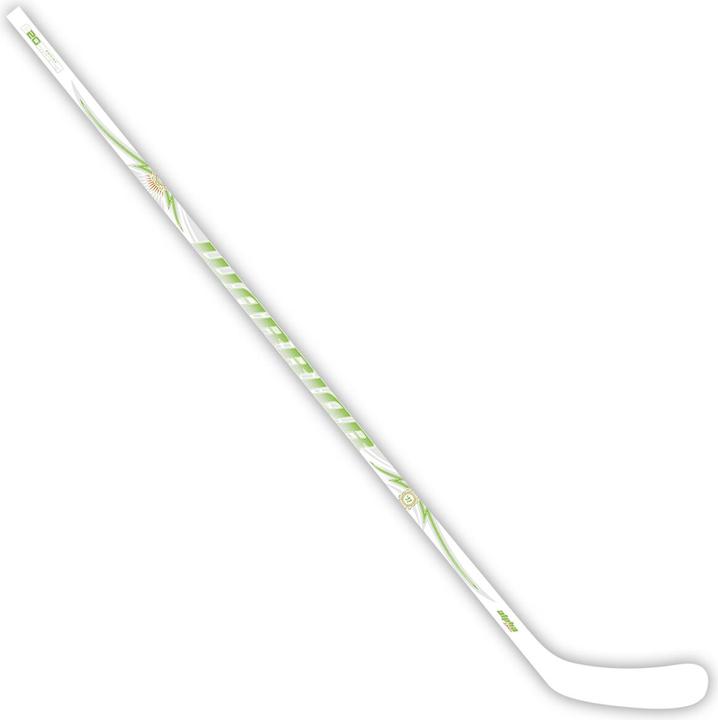 Bastone da hockey su ghiaccio