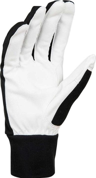 Produktbild Daehlie M Glove Race Warm (10)