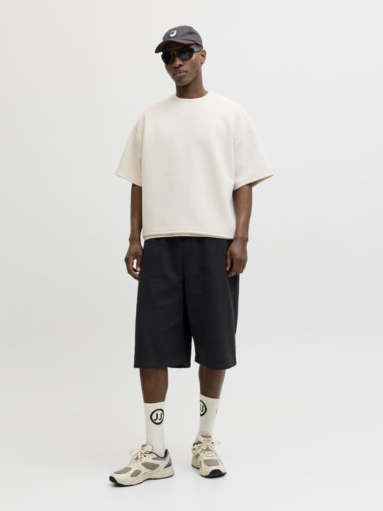 Image du produit Jack & Jones Jpstowen Falls Sweat Shorts (L)
