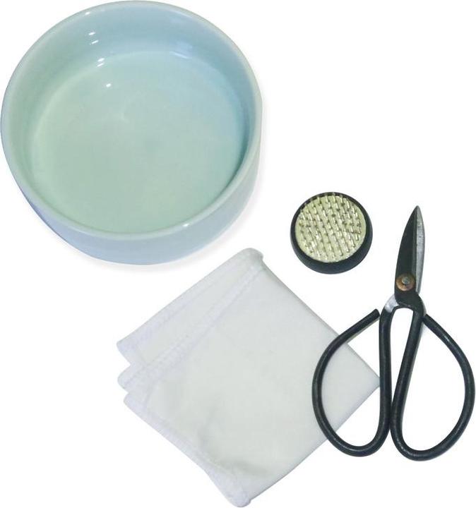 Kikkerland Ikebana Kit