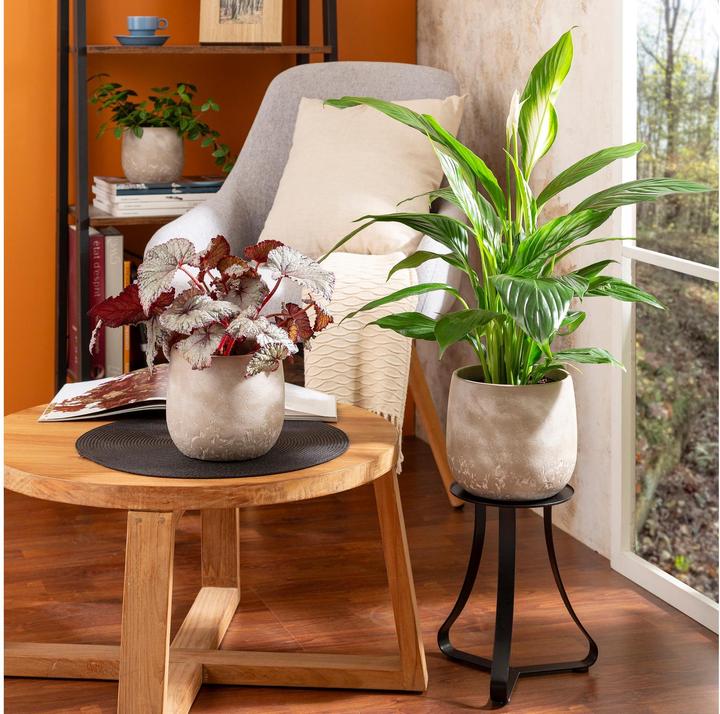 Produktbild Scheurich Dune (19 x 17 cm)